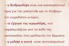 Δενδρομολόχα, νερομολόχα, μολόχα ή κοινή