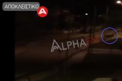 Καστοριά: Αρκούδες κόβουν βόλτες μέσα στην πόλη (Video)
