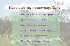 Δρ Μαρία Ν. Αγγέλη: Παροιμίες της τσοπάνικης ζωής.