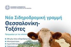 Οι Σερραίοι ταγοί βλέπουν τα τρένα να φεύγουν… και τις ελιές να έρχονται!!!