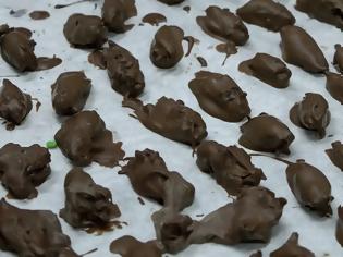 Φωτογραφία για Εξωτική λιχουδιά: Τζιτζίκια καλυμμένα με σοκολάτα προσφέρει ζαχαροπλαστείο στις ΗΠΑ