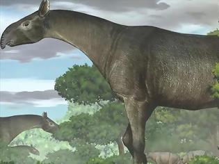 Φωτογραφία για Ανακαλύφθηκε ο «Ρινόσαυρος», το μεγαλύτερο θηλαστικό της Γης