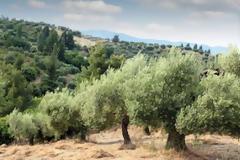 Επιστήμονες ανακάλυψαν ένα άγνωστο είδος ανθρώπου όπως στη σειρά Sense 8; New kind of human in Israel?