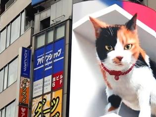 Φωτογραφία για Μια τεράστια τρισδιάστατη γάτα κλέβει τα βλέμματα στο πιο πολυσύχναστο σιδηροδρομικό σταθμό του Τόκιο. Βίντεο.