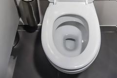 Τρόμος σε κάμπινγκ - Φίδι ξετρύπωσε από τη λεκάνη τουαλέτας