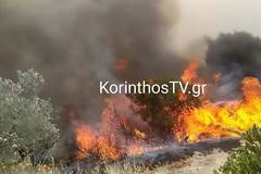 Φωτιά στο Καλέντζι Κορινθίας - Ενισχύθηκα οι πυροσβεστικές δυνάμεις