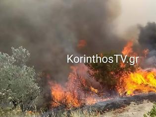 Φωτογραφία για Φωτιά στο Καλέντζι Κορινθίας - Ενισχύθηκα οι πυροσβεστικές δυνάμεις