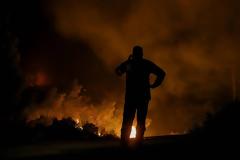 Φωτιά Επίδαυρος: Δύσκολη νύχτα για τους πυροσβέστες στην Αργολίδα - Εκκενώθηκε η Γκάτζια