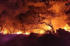 Δύσκολη νύχτα με τη φωτιά στη Ρόδο: Νέο μήνυμα ετοιμότητας από 112 για Μαριτσά και Καλυθιές - Ισχυροί άνεμοι στην περιοχή