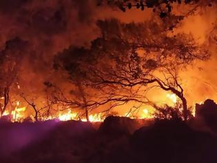 Φωτογραφία για Δύσκολη νύχτα με τη φωτιά στη Ρόδο: Νέο μήνυμα ετοιμότητας από 112 για Μαριτσά και Καλυθιές - Ισχυροί άνεμοι στην περιοχή