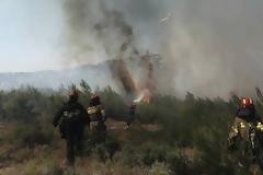 Φωτιά στο Σουφλί - Επιχειρούν 22 πυροσβέστες με 12 οχήματα