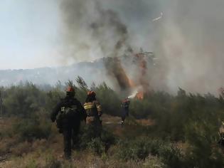 Φωτογραφία για Φωτιά στο Σουφλί - Επιχειρούν 22 πυροσβέστες με 12 οχήματα