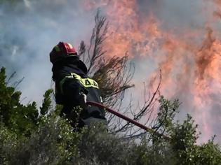 Φωτογραφία για Μεγάλη φωτιά στην Άνω Βαρυμπόμπη: Καίει παρθένο δάσος - Συναγερμός στην πυροσβεστική