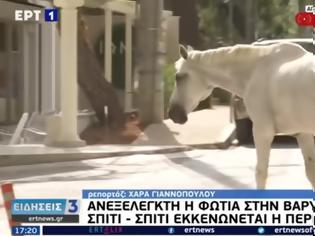 Φωτογραφία για Βαρυμπόμπη: Άλογα έτρεχαν πανικόβλητα μέσα στην πλατεία - Συγκλονιστικές εικόνες (Video)
