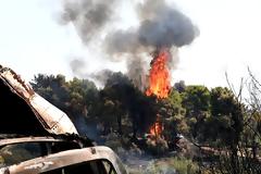 Πύρινος εφιάλτης στην Αττική: Αναζωπυρώσεις και ανυπολόγιστες ζημιές - Χαρδαλιάς: 12.500 στρέμματα έγιναν στάχτη