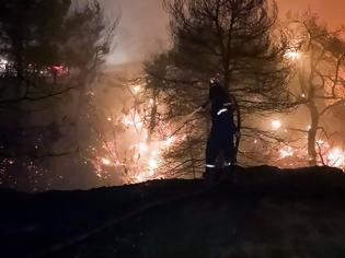 Φωτογραφία για Φωτιά: Δραματικό βράδυ - Εκκενώνονται Άγιος Στέφανος, Πολυδένδρι, Καπανδρίτι