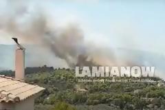 Φωτιά στον Θεολόγο - Δόθηκε εντολή εκκένωσης, καίγονται σπίτια