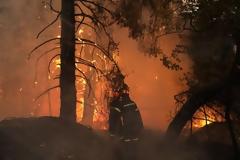 Φωτιά Μαλακάσα:  Οι φλόγες πέρασαν την εθνική προς Ωρωπό - Εκκενώνονται περιοχές