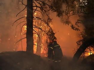 Φωτογραφία για Φωτιά Μαλακάσα:  Οι φλόγες πέρασαν την εθνική προς Ωρωπό - Εκκενώνονται περιοχές