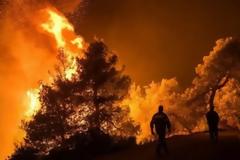 Φωτιά Ιωάννινα: Πυρκαγιά σε δασική έκταση στο Μιτσικέλι
