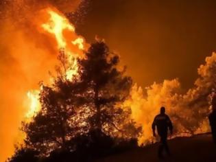 Φωτογραφία για Φωτιά Ιωάννινα: Πυρκαγιά σε δασική έκταση στο Μιτσικέλι
