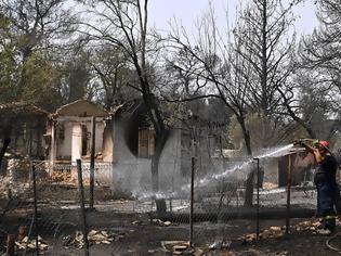 Φωτογραφία για Φωτιά Βαρυμπόμπη: Εντοπίστηκε εμπρηστικός μηχανισμός μέσα στο δάσος