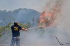 Φωτιά Ηλεία: Νέες αναζωπυρώσεις στα Βίλλια και τον Δούκα