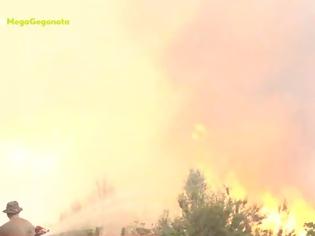 Φωτογραφία για Φωτιά Εύβοια: Ξεφεύγει η κατάσταση σε Αβγαριά και Γερακιού - Μάχη με τις αναζωπυρώσεις