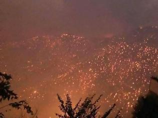 Φωτογραφία για Πύρινος όλεθρος στην Αλγερία - 4 νεκροί και 3 τραυματίες σε δασικές πυρκαγιές - Εγκαταλείπουν τα σπίτια τους