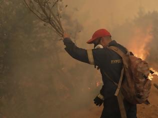 Φωτογραφία για Φωτιά Γορτυνία: Εκκενώνονται 19 οικισμοί