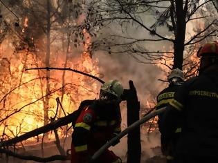 Φωτογραφία για Πυρκαγιές: Συνεχίζεται η μάχη με τις φλόγες - Ισχυρές επίγειες και εναέριες δυνάμεις σε Γορτυνία και Ηλεία