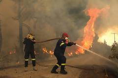 Φωτιά Λακωνία: Καμένη γη, νεκρά ζώα και κατεστραμμένες περιουσίες στη Μάνη