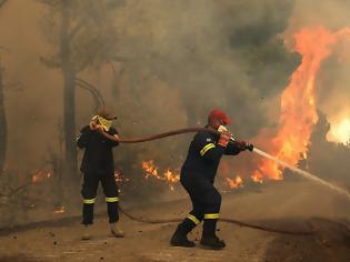 Φωτογραφία για Φωτιά Λακωνία: Καμένη γη, νεκρά ζώα και κατεστραμμένες περιουσίες στη Μάνη