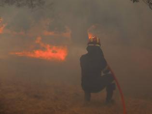 Φωτογραφία για Φωτιά Χαλκιδική: Πυρκαγιές στη Σιθωνία και στην Κασσάνδρα