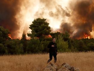 Φωτογραφία για Υποχρεωτικά αναδασωτέα τα δημόσια ή ιδιωτικά δάση που καταστράφηκαν από τις πυρκαγιές