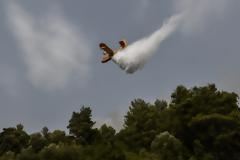 Φωτιά Αττική: Πυρκαγιά στα Βίλια - Μήνυμα από το 112 για εκκενώσεις οικισμών