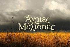 «Οι Άγριες Μέλισσες δεν είναι του γούστου μου.Θα ήθελα να έχω παίξει στην Αγγελική»