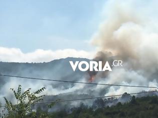 Φωτογραφία για Φωτιά Καβάλα: Συναγερμός για πυρκαγιά στους πρόποδες του παγγαίου