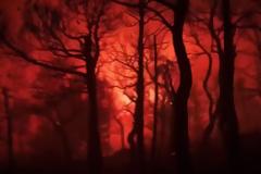 Φωτιά Βίλια: Μάχη με τις φλόγες για δεύτερη νύχτα- Καίγεται η κορυφογραμμή του Όρους Πατέρα