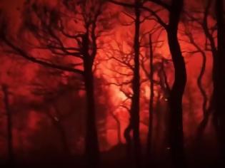 Φωτογραφία για Φωτιά Βίλια: Μάχη με τις φλόγες για δεύτερη νύχτα- Καίγεται η κορυφογραμμή του Όρους Πατέρα
