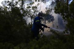 Φωτιά στο Θύμι Καρύστου Ευβοίας - Επί ποδός η Πυροσβεστική