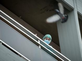 Φωτογραφία για Τρεις γιατροί στις Σέρρες παραιτήθηκαν για να μην εμβολιαστούν
