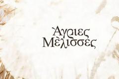 Πότε κάνουν τελικά πρεμιέρα οι «Άγριες Μέλισσες»