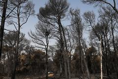 Νεκρός από τη φωτιά της Βαρυμπόμπης