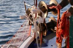 Βόλος: Ψαράς βρήκε νεκρό ψαροντουφεκά και ξαναπέταξε το πτώμα στη θάλασσα