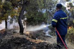 Φωτιά τώρα: Μεγάλη πυρκαγιά στα Χανιά στην περιοχή Πλακάλωνα