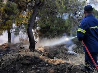 Φωτογραφία για Φωτιά τώρα: Μεγάλη πυρκαγιά στα Χανιά στην περιοχή Πλακάλωνα