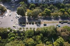 Κόβουν τα δέντρα στο κέντρο της Αθήνας για τα εργοτάξια του Μετρό