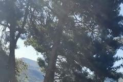 Δρεζίνες από τη Λάρισα ξανά στην κοιλάδα των Τεμπών! Εικόνες.