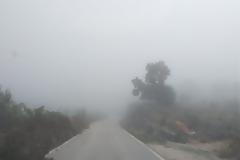 Το Βελανιδοδάσος Ξηρομέρου «πνιγμένο» από την ομίχλη (ΦΩΤΟ)